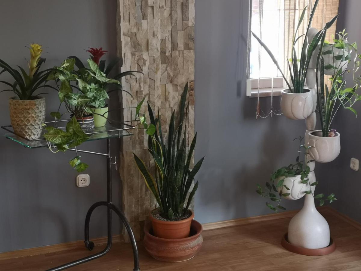 Hotello Apartmanhaz Es Panzio Zalaegerszeg Εξωτερικό φωτογραφία